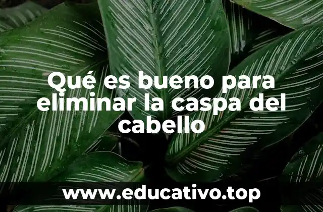 Qué es bueno para eliminar la caspa del cabello