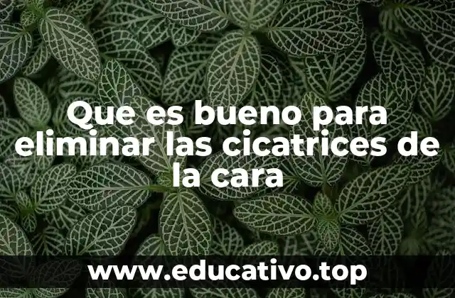 Que es bueno para eliminar las cicatrices de la cara