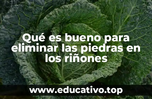 Qué es bueno para eliminar las piedras en los riñones