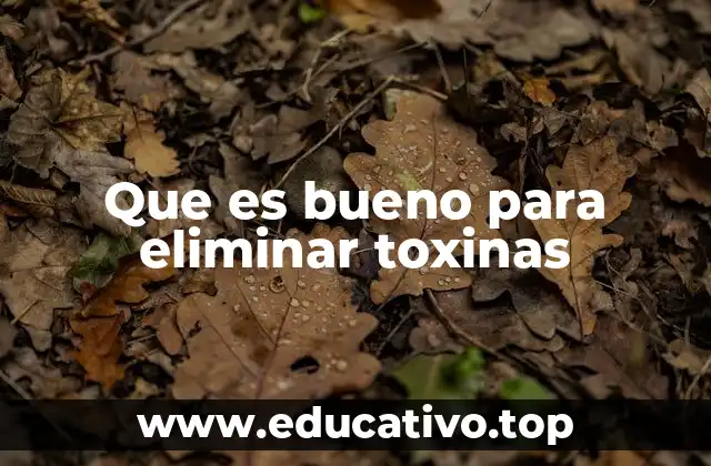 Que es bueno para eliminar toxinas