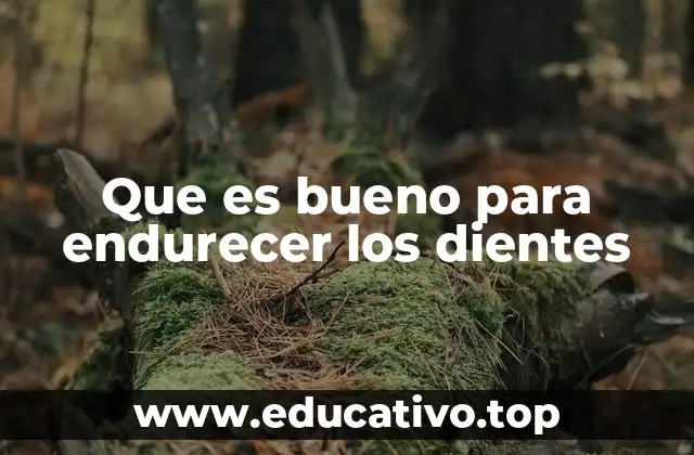 Que es bueno para endurecer los dientes