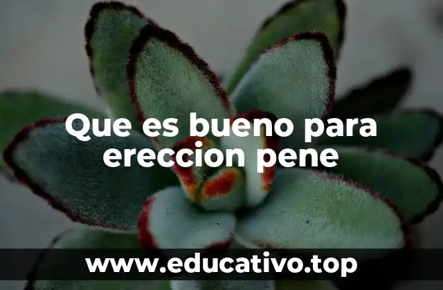 Que es bueno para ereccion pene