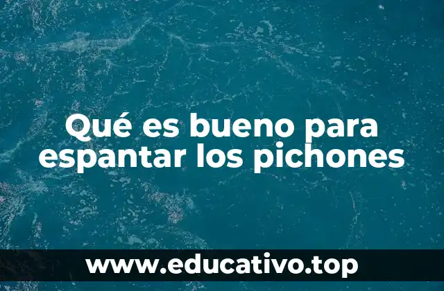 Cómo mantener a los pichones lejos de espacios no deseados