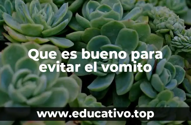 Que es bueno para evitar el vomito