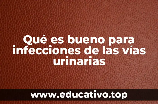 Qué es bueno para infecciones de las vías urinarias