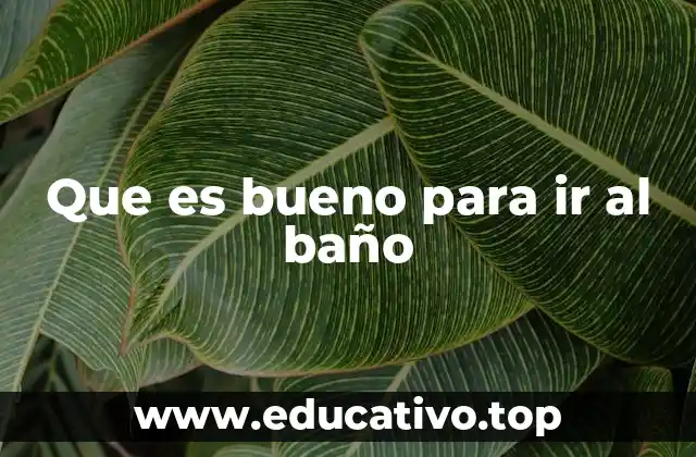 Que es bueno para ir al baño