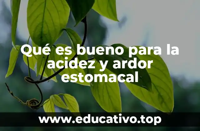 Qué es bueno para la acidez y ardor estomacal