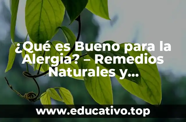 ¿Qué es Bueno para la Alergia? – Remedios Naturales y Tratamientos Efectivos