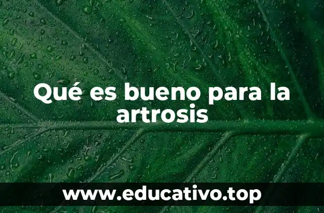 Qué es bueno para la artrosis