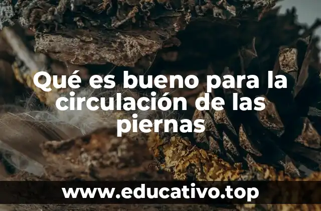 Qué es bueno para la circulación de las piernas