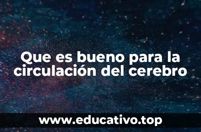 Que es bueno para la circulación del cerebro