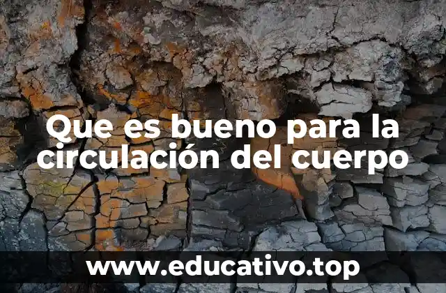 Cómo el estilo de vida afecta la salud vascular