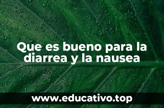 Que es bueno para la diarrea y la nausea
