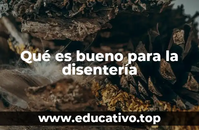Qué es bueno para la disentería