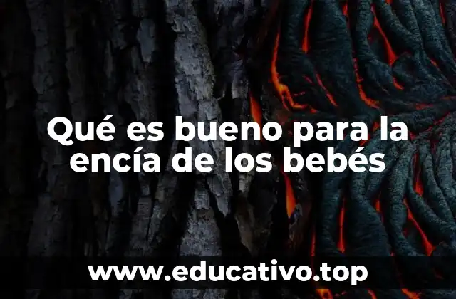 Qué es bueno para la encía de los bebés