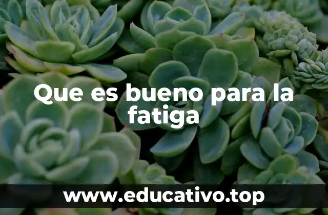 Que es bueno para la fatiga