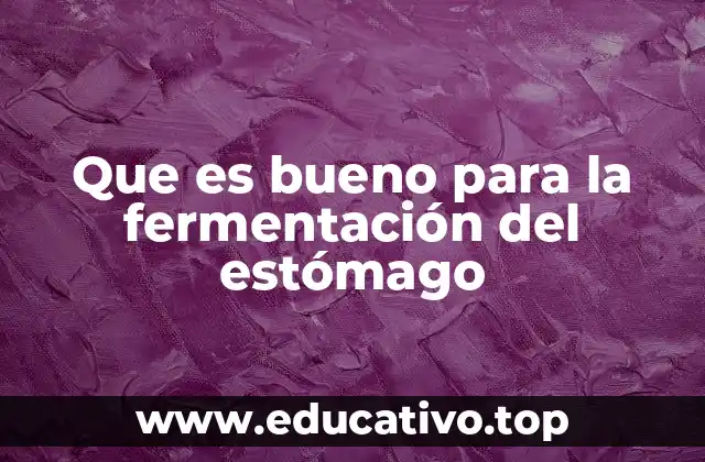 Que es bueno para la fermentación del estómago