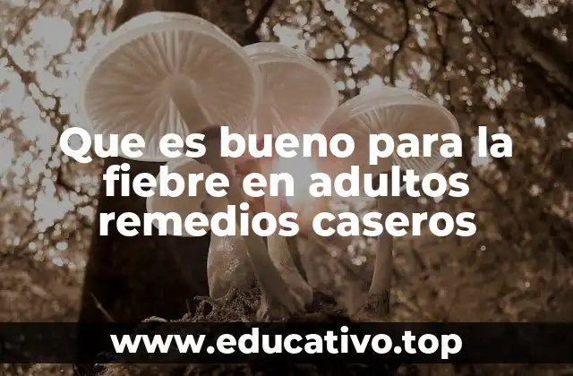 Que es bueno para la fiebre en adultos remedios caseros