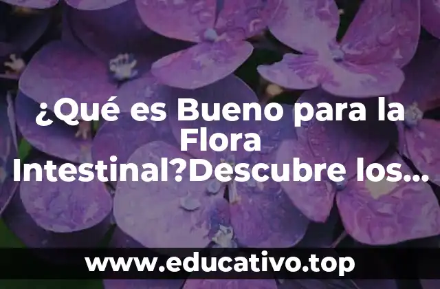 ¿Qué es Bueno para la Flora Intestinal?Descubre los Alimentos y Suplementos que Mejoran tu Salud
