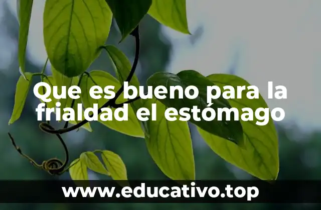 Que es bueno para la frialdad el estómago