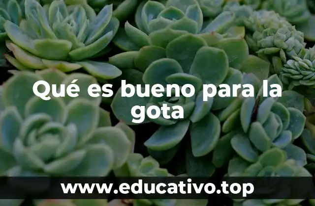 Qué es bueno para la gota