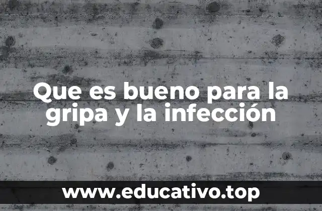 Cómo fortalecer el sistema inmunológico de forma natural