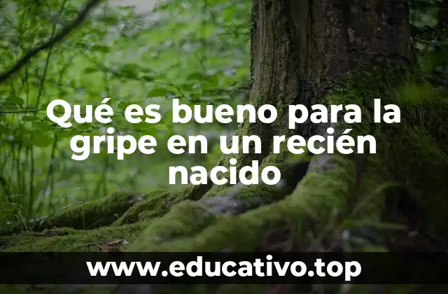 Qué es bueno para la gripe en un recién nacido