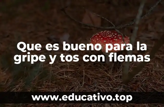 Que es bueno para la gripe y tos con flemas