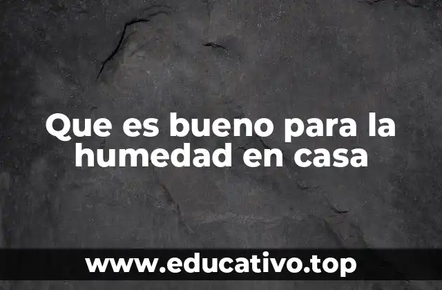 Que es bueno para la humedad en casa