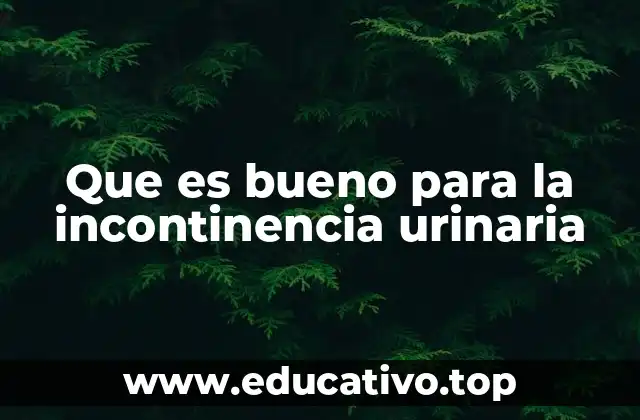Que es bueno para la incontinencia urinaria
