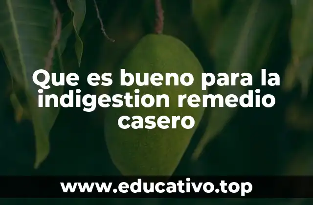 Que es bueno para la indigestion remedio casero