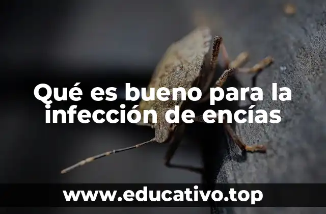 Qué es bueno para la infección de encías