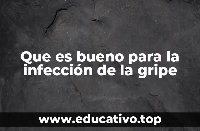 Que es bueno para la infección de la gripe