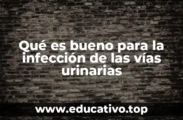 Qué es bueno para la infección de las vías urinarias
