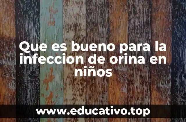 Que es bueno para la infeccion de orina en niños