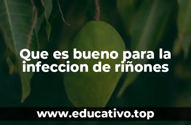 Que es bueno para la infeccion de riñones