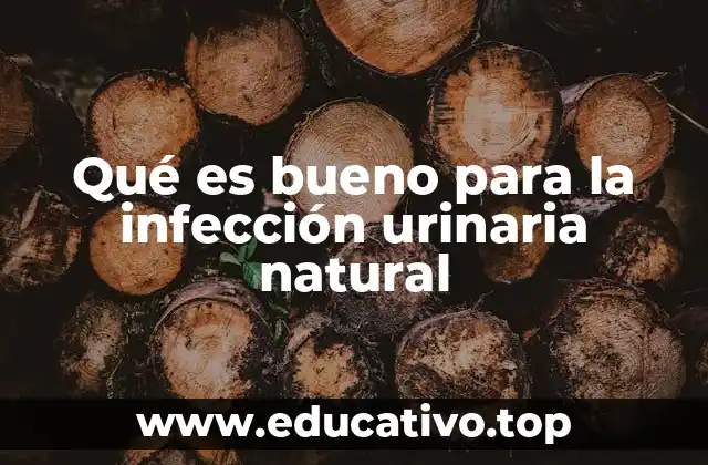 Qué es bueno para la infección urinaria natural