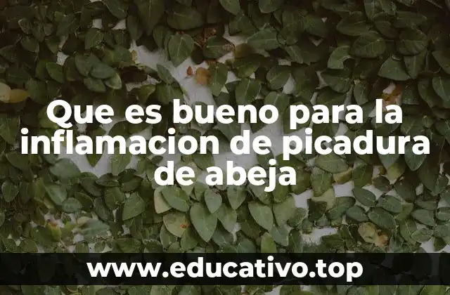 Que es bueno para la inflamacion de picadura de abeja