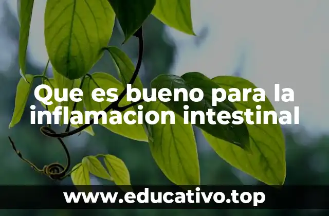 Que es bueno para la inflamacion intestinal