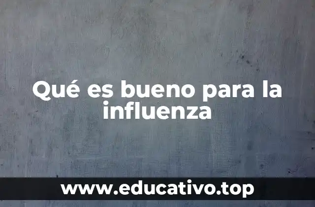 Qué es bueno para la influenza