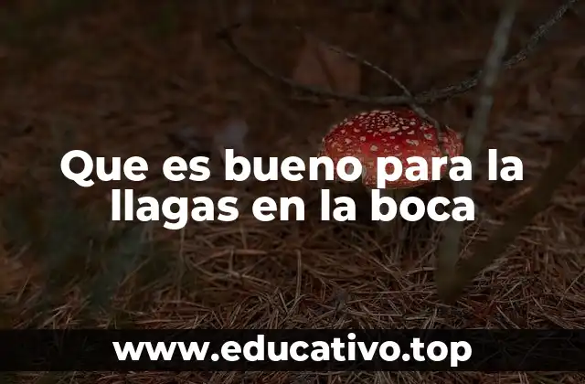 Que es bueno para la llagas en la boca