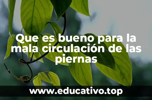 Que es bueno para la mala circulación de las piernas