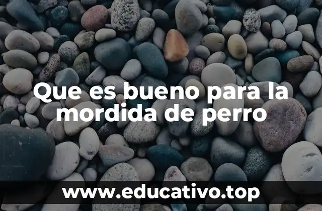 Que es bueno para la mordida de perro