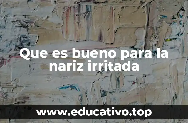 Que es bueno para la nariz irritada