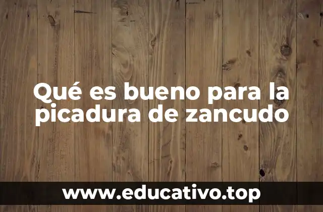 Cómo prevenir y tratar las picaduras de zancudos de forma integral