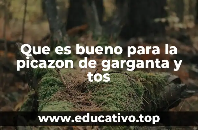 Que es bueno para la picazon de garganta y tos