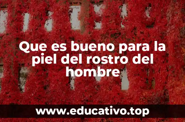 Que es bueno para la piel del rostro del hombre