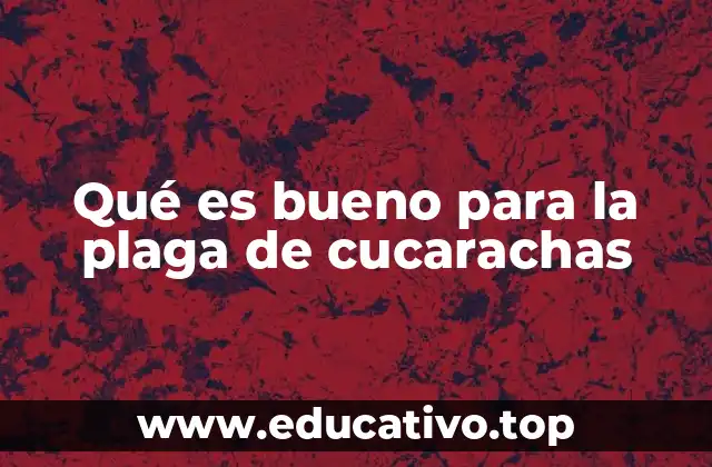 Qué es bueno para la plaga de cucarachas