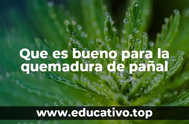 Que es bueno para la quemadura de pañal