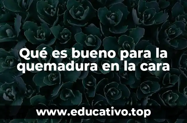 Qué es bueno para la quemadura en la cara